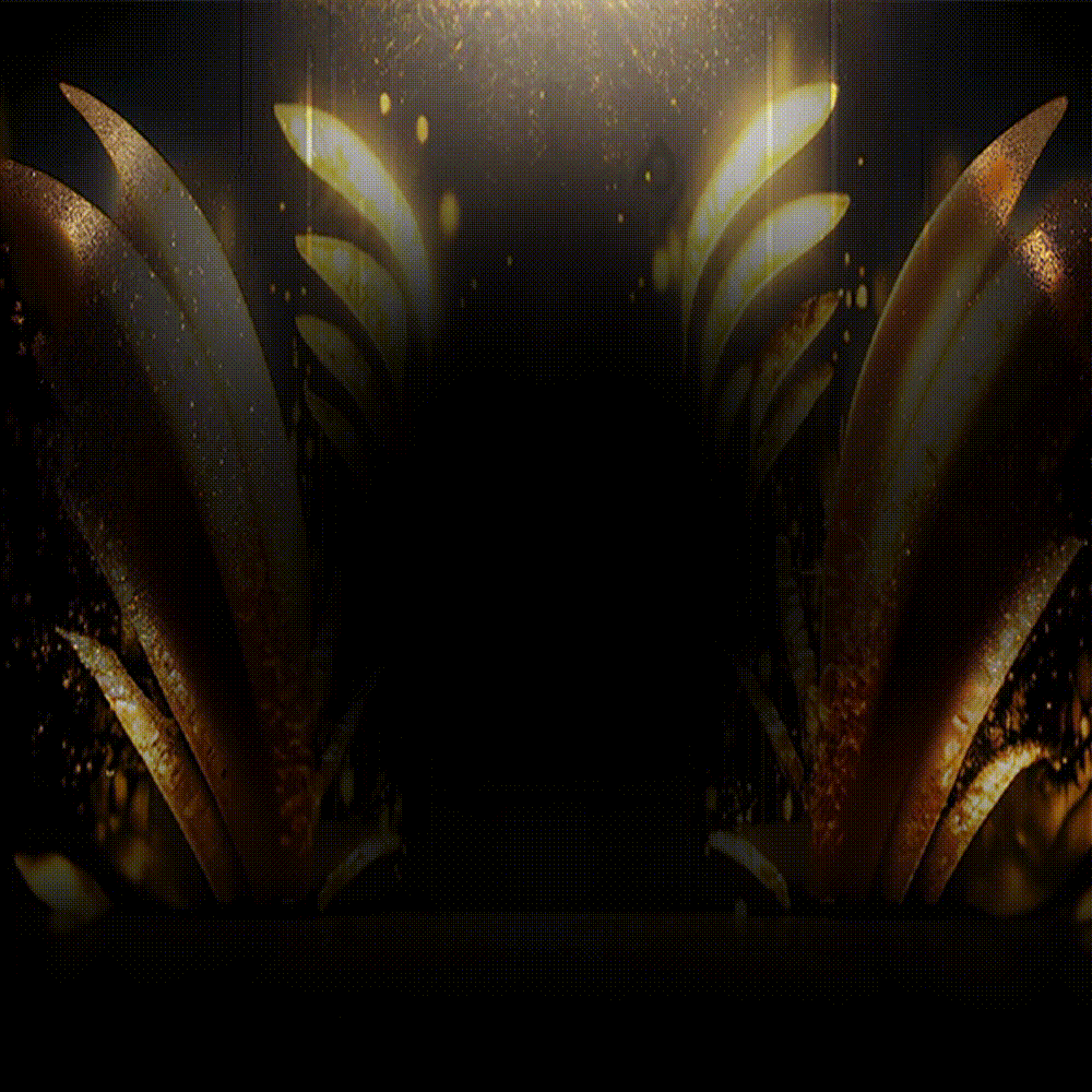 4cd88704275704dc4c12c114bf89fd10_1747550926_9347.gif 4cd88704275704dc4c12c114bf89fd10_1747550926_9347.gif